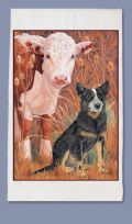 Australian Cattle Dog with Cow Dish Towel
