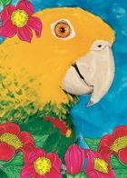 Amazon Parrot Christmas Cards Set of 10 cards & 10 envelopes
