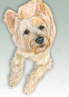 Cairn Terrier Blank Note Cards Boxed
