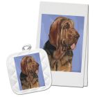 Bloodhound Kitchen Dish Towel and Pot Holder Gift Set