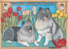 Keeshond Blank Note Cards Boxed