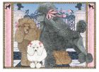 Poodle Dog Birthday Card 5 x 7 with Envelope