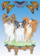 Papillon Birthday Card 5 x 7 with Envelope
