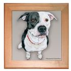 Pit Bull Dog Kitchen Ceramic Trivet Framed in Pine 8" x 8"
