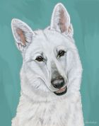 White Shepherd Blank Note Cards Boxed
